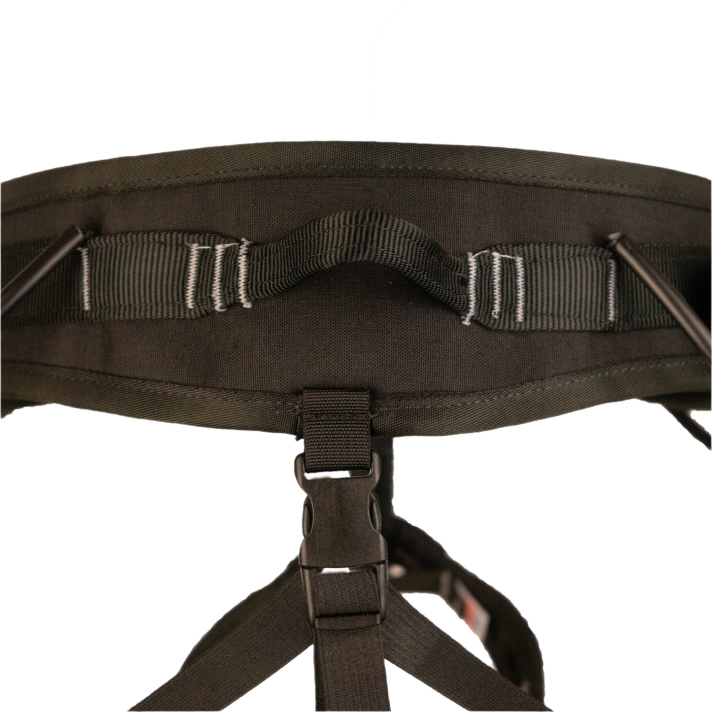 Intrepid Harness