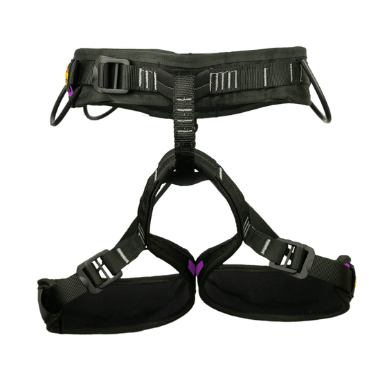 Intrepid Harness - Misty Mountain Threadworks