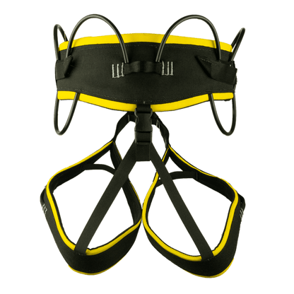 2025 Cadillac F - Misty Mountain Threadworks