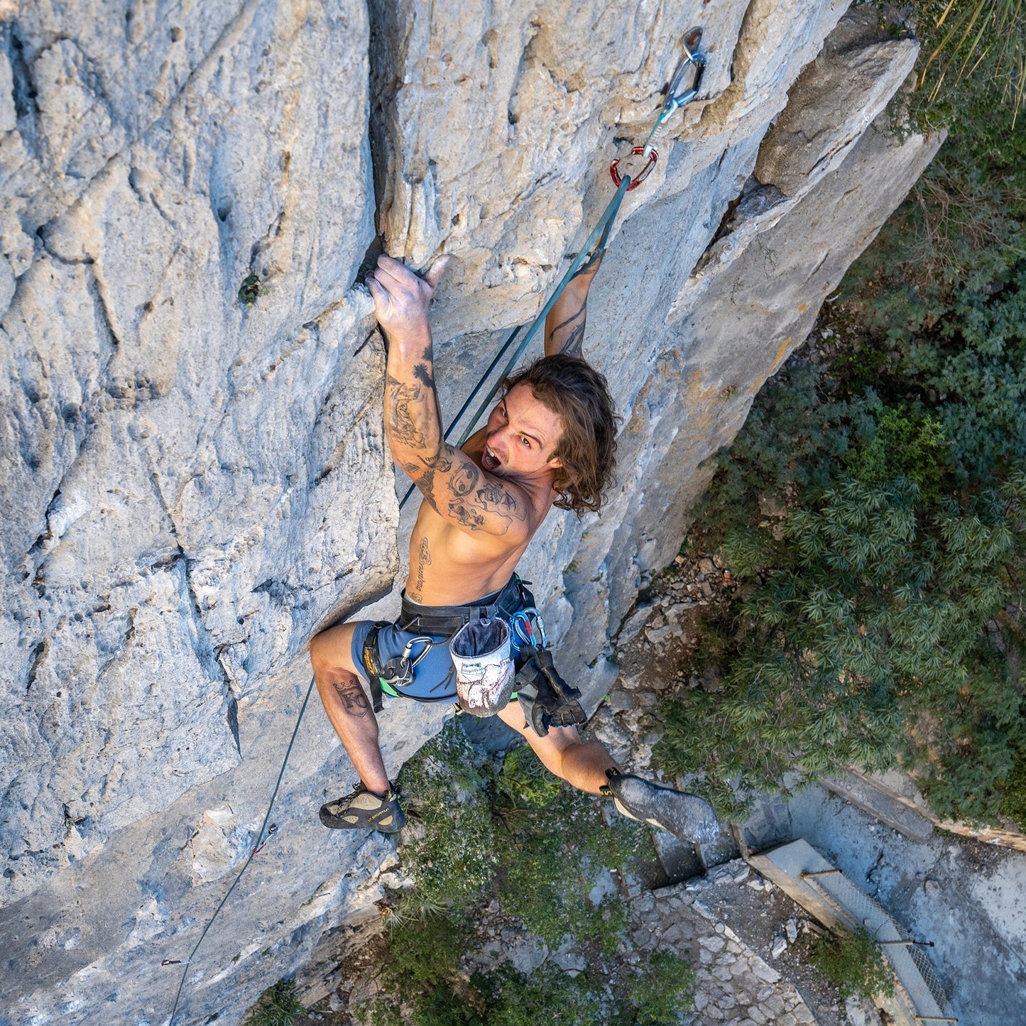 2025 Intrepid Harness - Misty Mountain Threadworks
