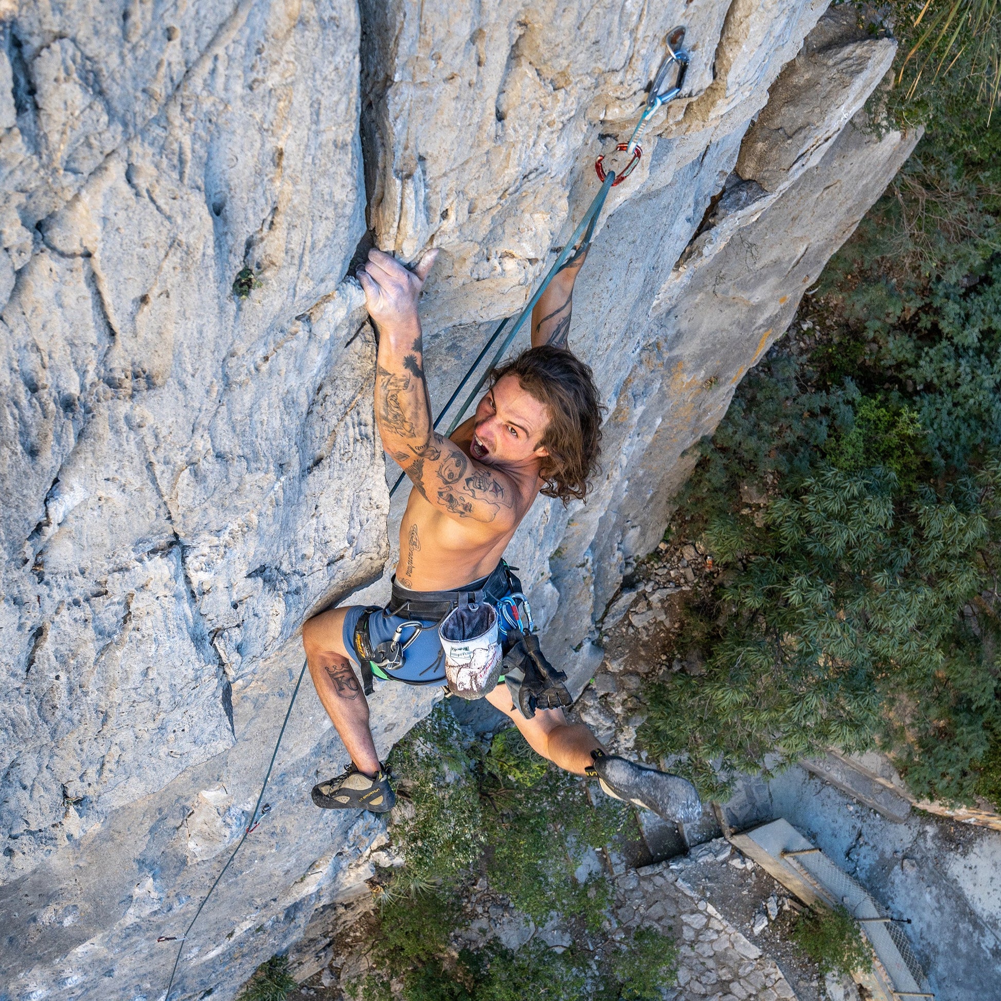 2025 Intrepid Harness - Misty Mountain Threadworks