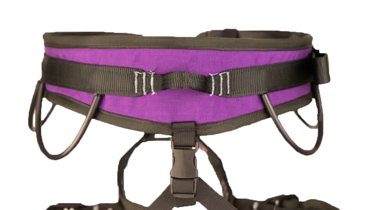 Cirque harness online