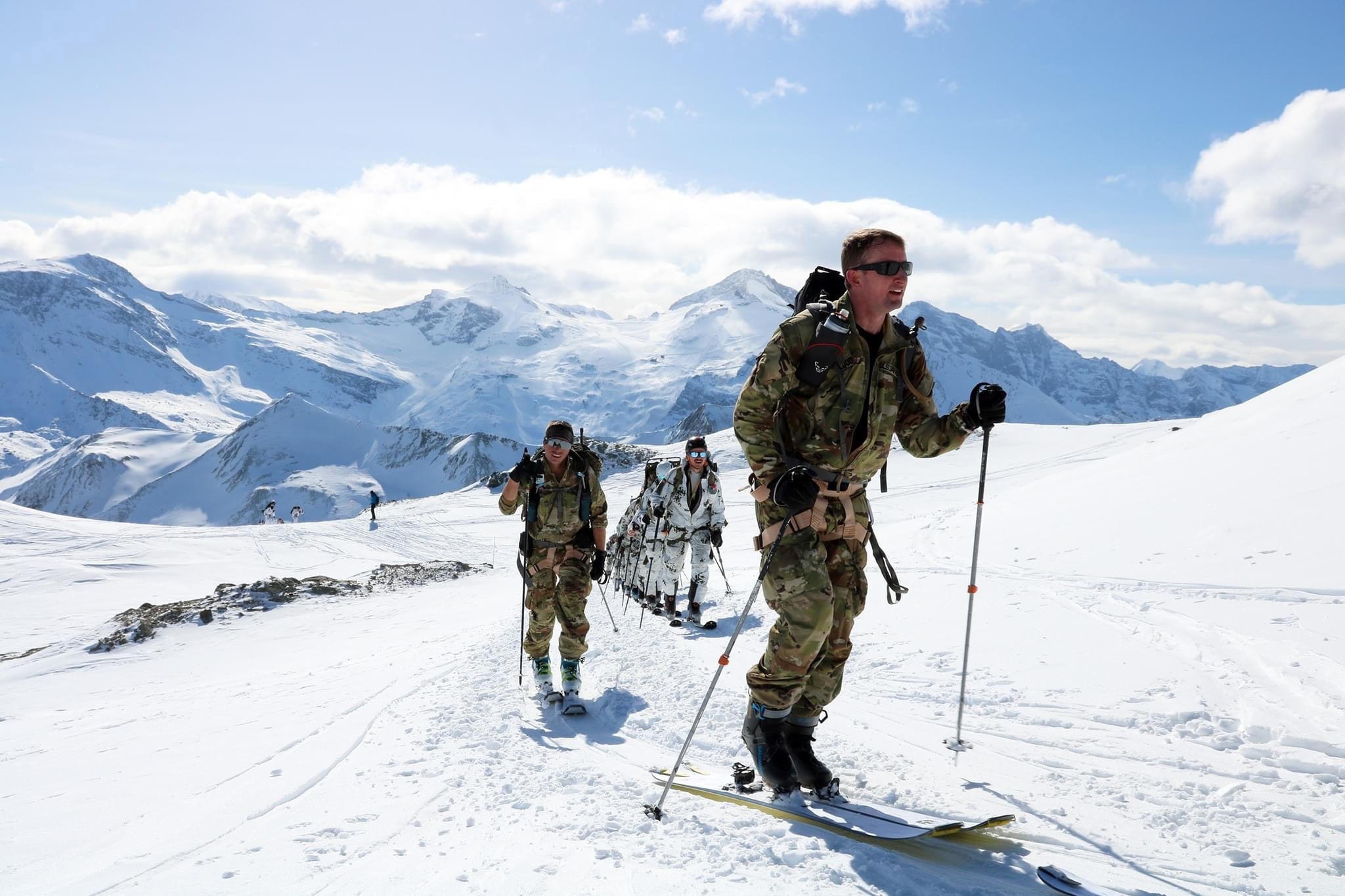 Milroc Military Harness - Misty Mountain Threadworks